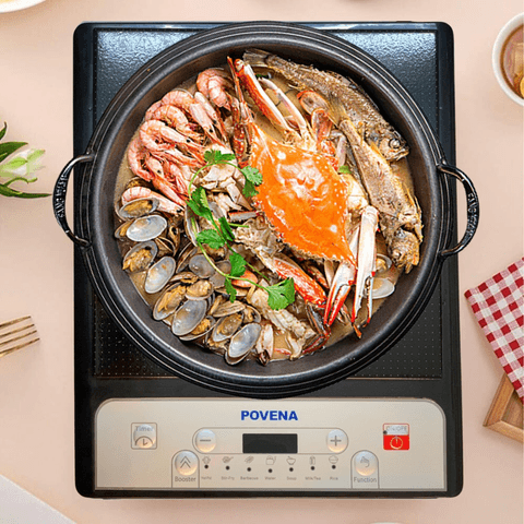 BẾP TỪ POVENA