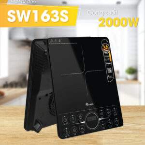 BẾP ĐIỆN TỪ ĐƠN SOWUN