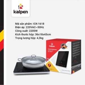 BẾP TỪ ĐƠN ICK-1618