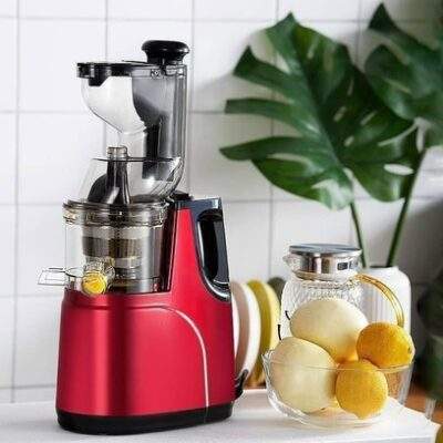 MÁY ÉP CHẬM HONGXIN RH312 MÁY ÉP CHẬM HONGXIN RH312